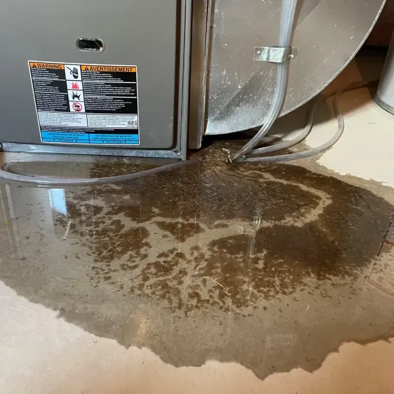 Appliance Leak Cleanup in Bright, IN